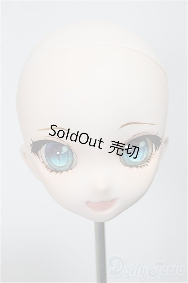 画像1: DD/DDH-10 カスタムヘッド 屋根裏Circus様製 A-25-09-03-233-NY-ZA (1)