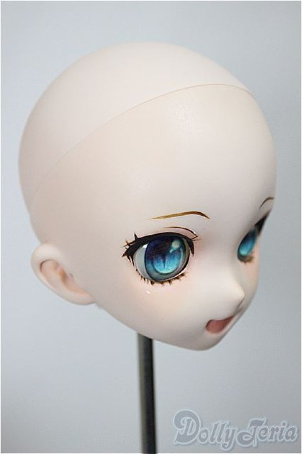 画像2: DD/DDH-10 カスタムヘッド 屋根裏Circus様製 A-25-09-03-233-NY-ZA (2)