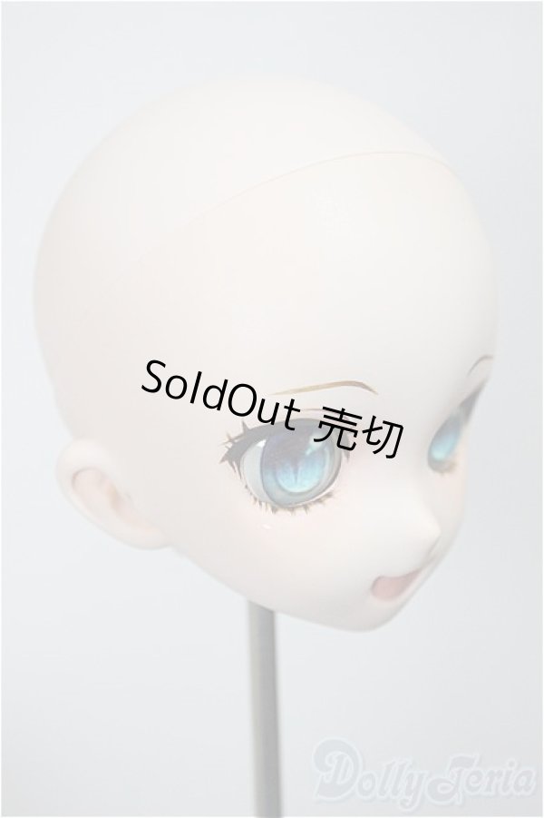 画像2: DD/DDH-10 カスタムヘッド 屋根裏Circus様製 A-25-09-03-233-NY-ZA (2)