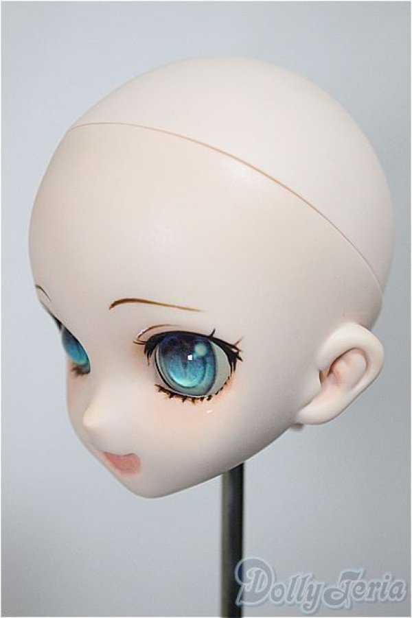 画像3: DD/DDH-10 カスタムヘッド 屋根裏Circus様製 A-25-09-03-233-NY-ZA (3)