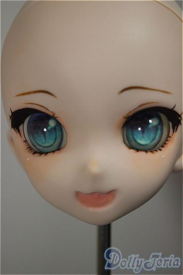 画像5: DD/DDH-10 カスタムヘッド 屋根裏Circus様製 A-25-09-03-233-NY-ZA (5)