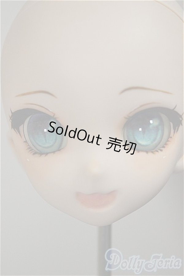 画像5: DD/DDH-10 カスタムヘッド 屋根裏Circus様製 A-25-09-03-233-NY-ZA (5)