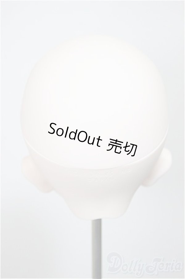 画像4: DD/DDH-01 カスタムヘッド raimuneca様製 A-25-09-03-231-NY-ZA (4)