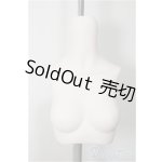 画像: MDD/上半身パーツ MDD3-B-02M-SW A-25-09-03-246-NY-ZA