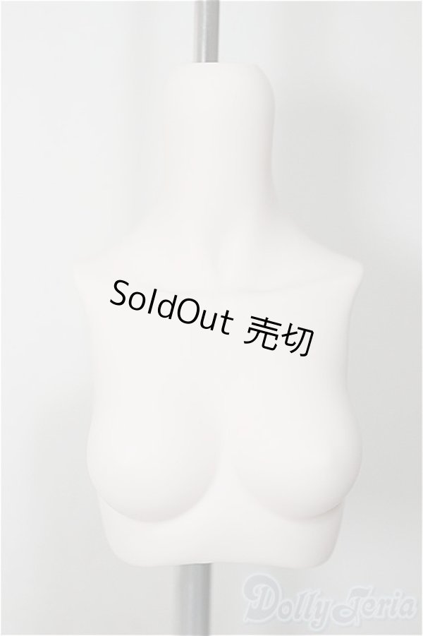 画像1: MDD/上半身パーツ MDD3-B-02M-SW A-25-09-03-246-NY-ZA (1)