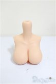 画像1: SmartDoll/デフォルト胸パーツ/0 A-25-09-03-313-TN-ZA (1)