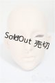 画像: LUNAMATE/1/3ヘッド/BJD　球体関節人形 A-25-09-10-108-TN-ZA