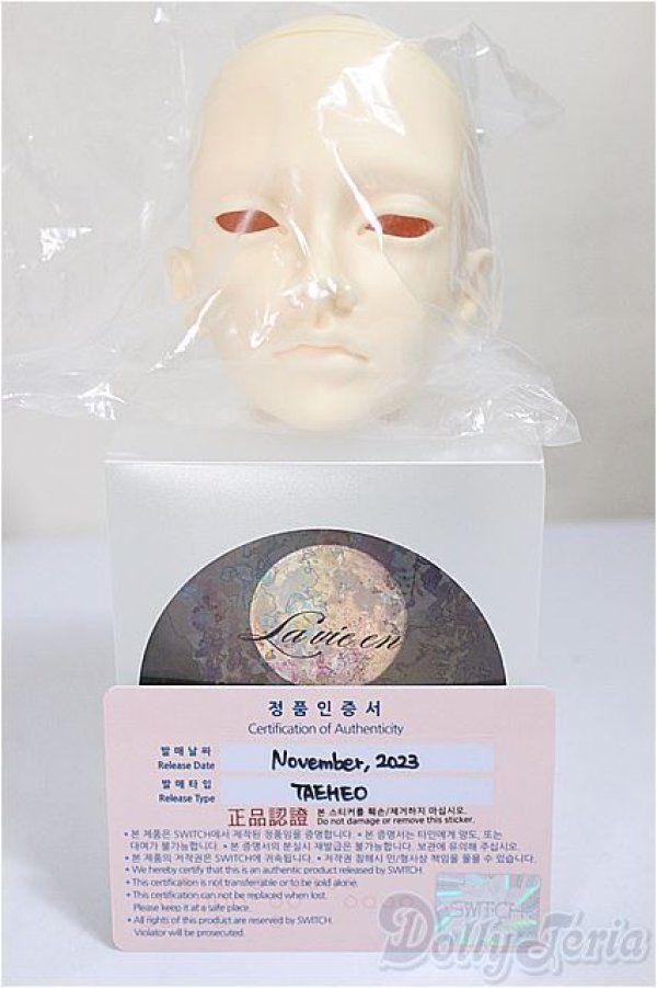 画像3: switch/taeheo/BJD　球体関節人形 A-25-09-10-104-TN-ZA (3)