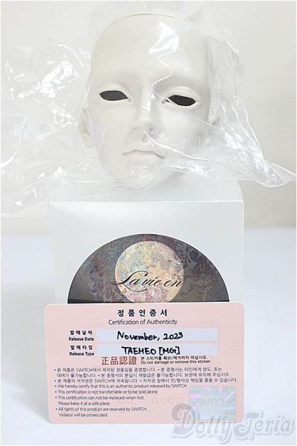 画像3: SWITCH/taeheo/BJD　球体関節人形 A-25-09-10-106-TN-ZA (3)