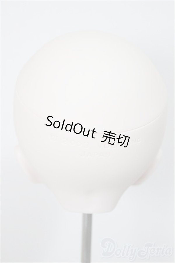 画像5: DDH-01/raimuneca様カスタム/BJD　球体関節人形 A-25-09-10-120-NY-ZA (5)