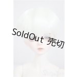 画像: TelesthesiaDoll/1/4 Yan Wei/BJD　球体関節人形 A-25-09-10-208-NY-ZA