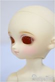 画像3: 幼ＳＤ/のの　オリジンボディver./BJD　球体関節人形 A-25-09-10-213-NY-ZA (3)