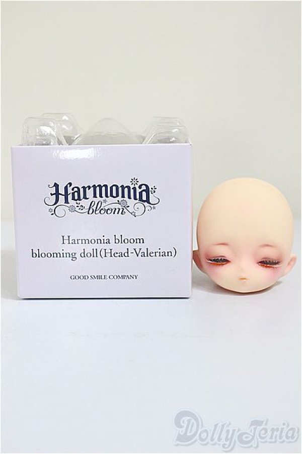 画像4: Harmonia bloom/カスタムヘッド アネモネ様カスタム/0 A-25-09-10-210-NY-ZA (4)