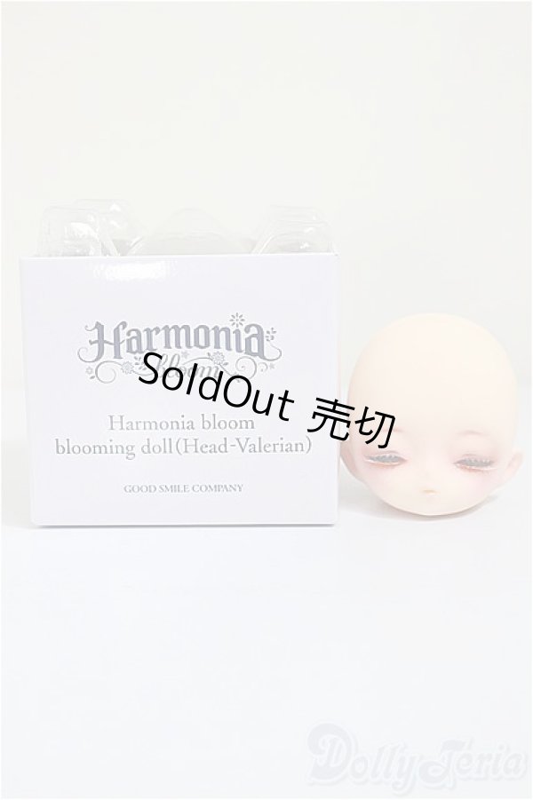 画像4: Harmonia bloom/カスタムヘッド アネモネ様カスタム/0 A-25-09-10-210-NY-ZA (4)