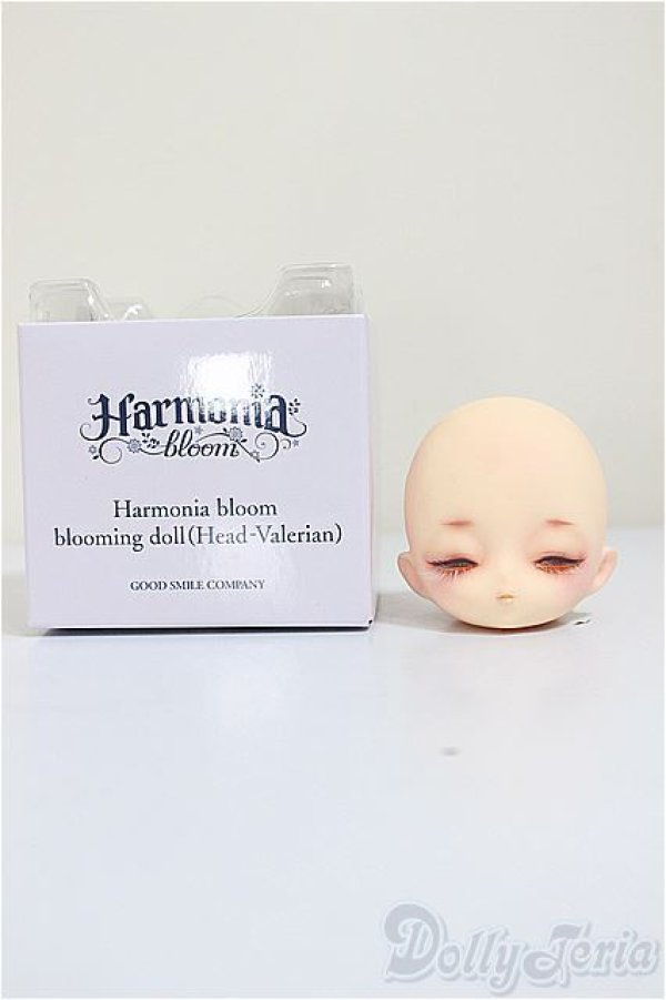 画像4: Harmonia bloom/カスタムヘッド アネモネ様カスタム/0 A-25-09-10-211-NY-ZA (4)