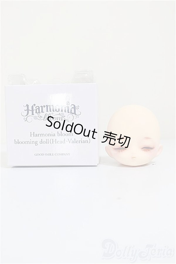 画像4: Harmonia bloom/カスタムヘッド アネモネ様カスタム/0 A-25-09-10-211-NY-ZA (4)