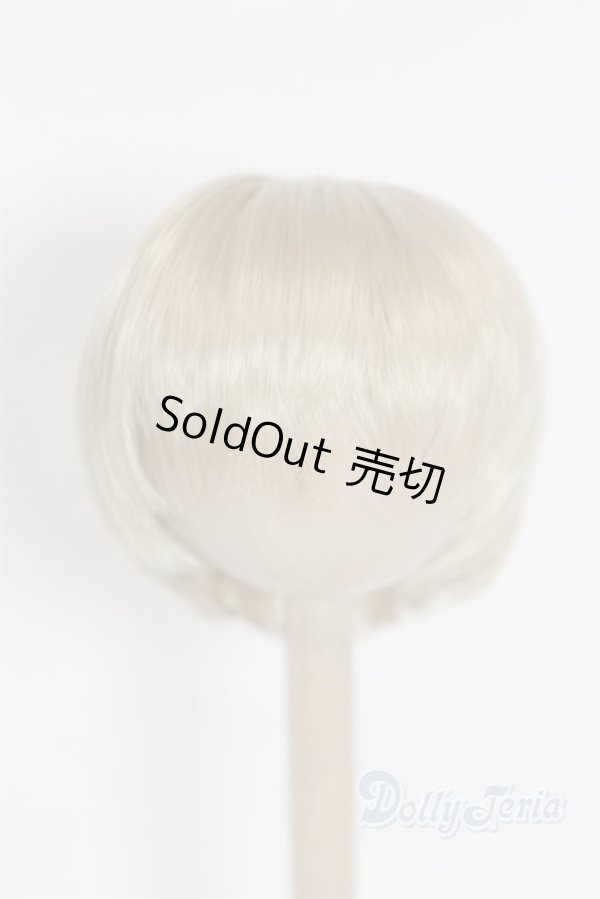 画像1: 6-7inch/ウィッグ/インチ　BJD　MJD　ドール用 A-25-09-17-080-NY-ZA (1)