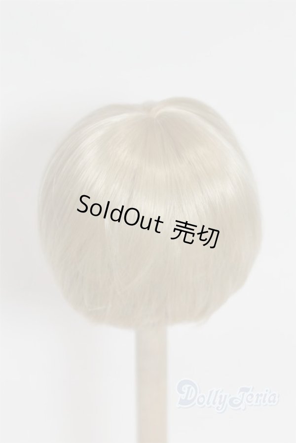 画像2: 6-7inch/ウィッグ/インチ　BJD　MJD　ドール用 A-25-09-17-080-NY-ZA (2)