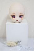 画像4: DDH-01/カスタムヘッド:開口カスタムあり/BJD　球体関節人形 A-25-09-17-108-NY-ZA (4)