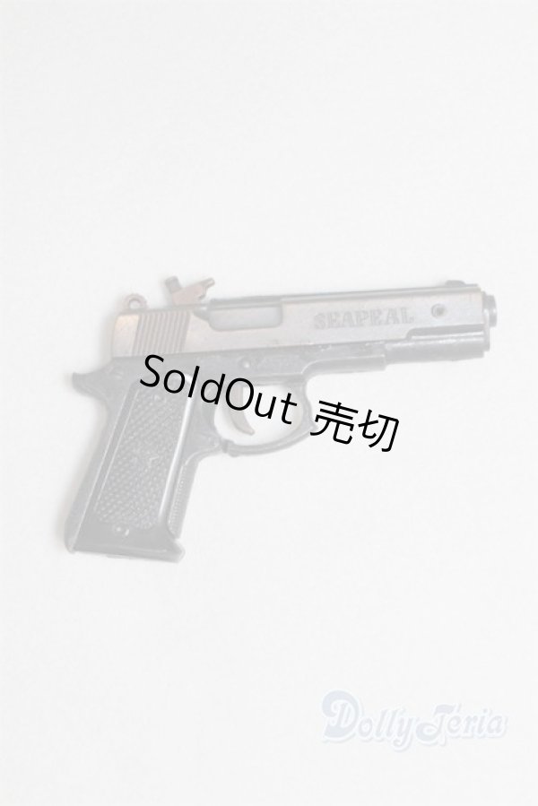 画像1: SD/OF:銃/0 A-25-09-24-066-NY-ZA (1)