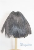 画像2: 6inch/ウィッグ/インチ　BJD　MJD　ドール用 A-25-09-24-061-NY-ZA (2)