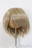 画像1: 8-9inch/ウィッグ/インチ　BJD　MJD　ドール用 A-25-11-19-397-NY-ZA (1)