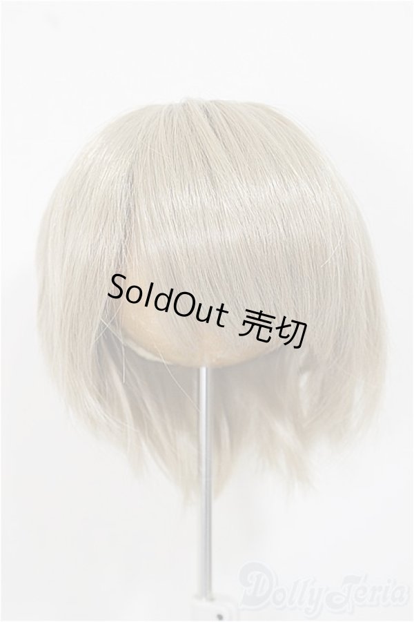 画像1: 8-9inch/ウィッグ/インチ　BJD　MJD　ドール用 A-25-11-19-397-NY-ZA (1)