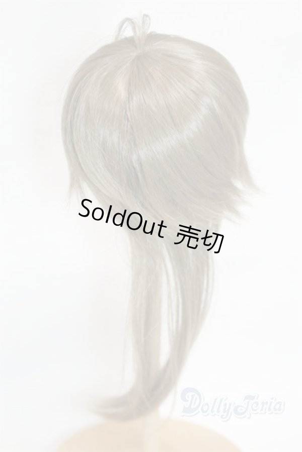 画像2: 8-9inch/ウィッグ/インチ　BJD　MJD　ドール用 A-25-11-26-074-NY-ZA (2)