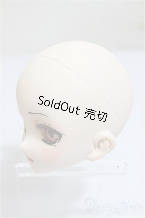 画像2: DDH-10/きな屋様カスタム/BJD　球体関節人形 A-25-09-17-237-NY-ZA (2)