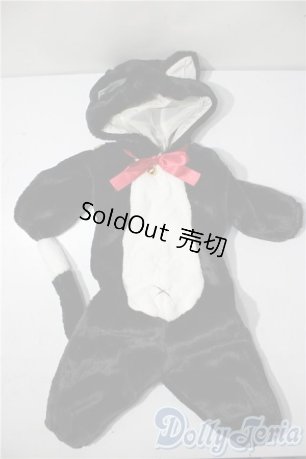 画像1: SD/OF:衣装セット U-25-11-12-153-NY-ZU (1)