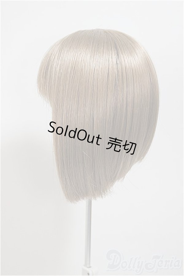 画像2: 9-10inch/ウィッグ/インチ　BJD　MJD　ドール用 A-25-09-17-222-NY-ZA (2)