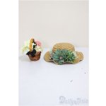 画像: 幼SD/OF:小物 A-25-09-17-349-NY-ZA