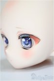 画像3: DDH-01 /koyallection様カスタム/BJD　球体関節人形 A-25-09-17-152-NY-ZA (3)