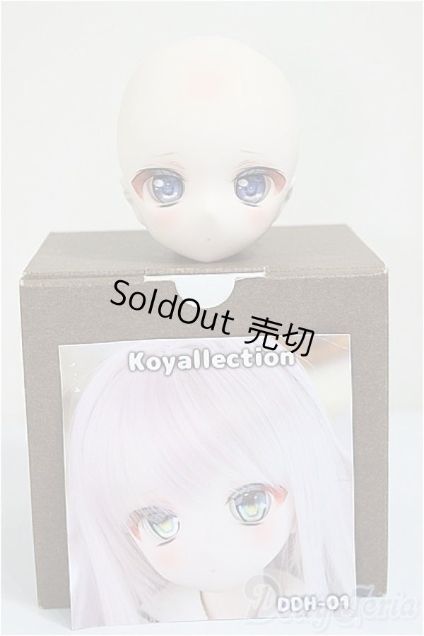 画像4: DDH-01 /koyallection様カスタム/BJD　球体関節人形 A-25-09-17-152-NY-ZA (4)