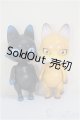 画像: CAPSULEDOLL　2体/ A-25-09-17-162-NY-ZA