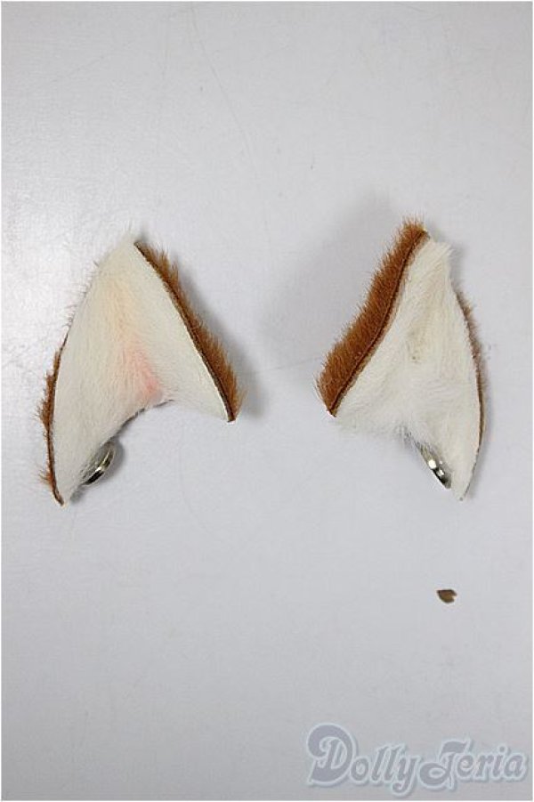 画像1: MDD/OF:小物 A-25-09-17-317-NY-ZA (1)