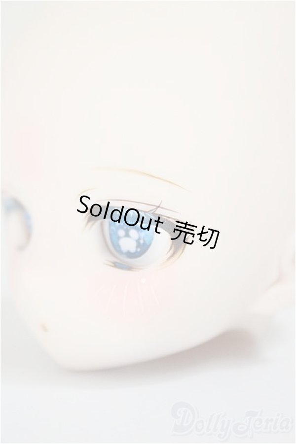 画像3: DD/DDH-01:カスタムヘッド A-25-09-17-303-NY-ZA (3)