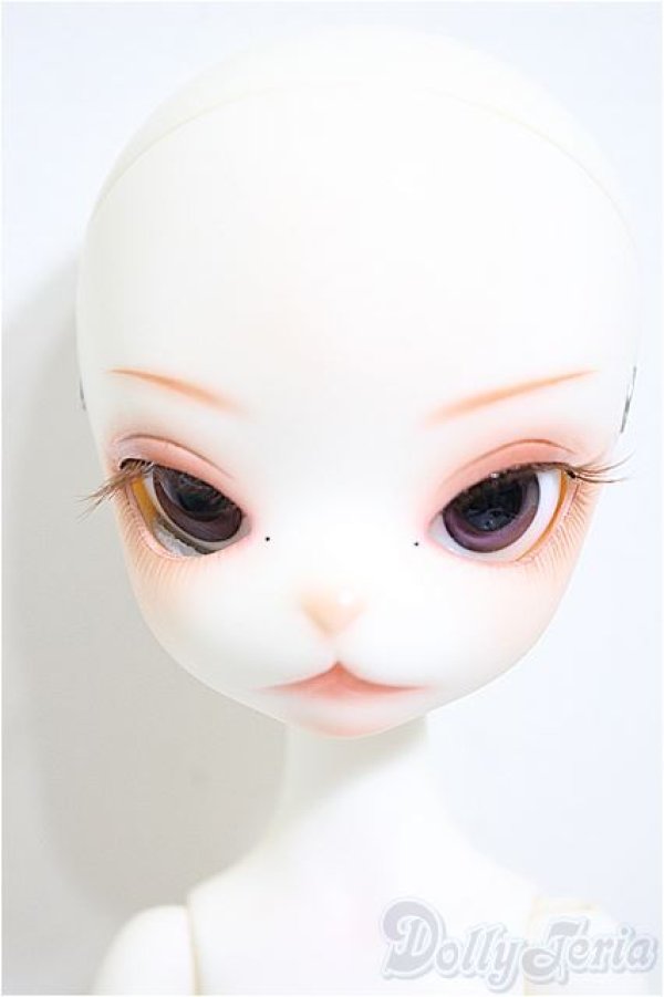 画像3: Dollzone/Miss Kitty/BJD　球体関節人形 A-25-09-24-151-NY-ZA (3)