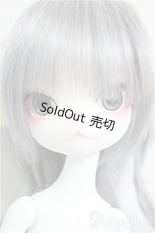 画像1: DOLLZONE/Miss kitty - 猫メイド ver. Limited/BJD　球体関節人形 A-25-09-24-152-NY-ZA (1)