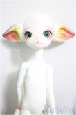 画像2: DOLLZONE/Miss kitty - 猫メイド ver. Limited/BJD　球体関節人形 A-25-09-24-152-NY-ZA (2)