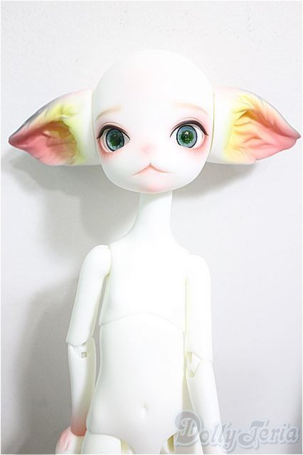 画像2: DOLLZONE/Miss kitty - 猫メイド ver. Limited/BJD　球体関節人形 A-25-09-24-152-NY-ZA (2)