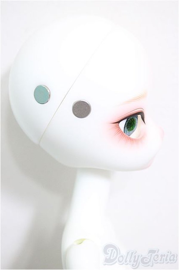 画像6: DOLLZONE/Miss kitty - 猫メイド ver. Limited/BJD　球体関節人形 A-25-09-24-152-NY-ZA (6)