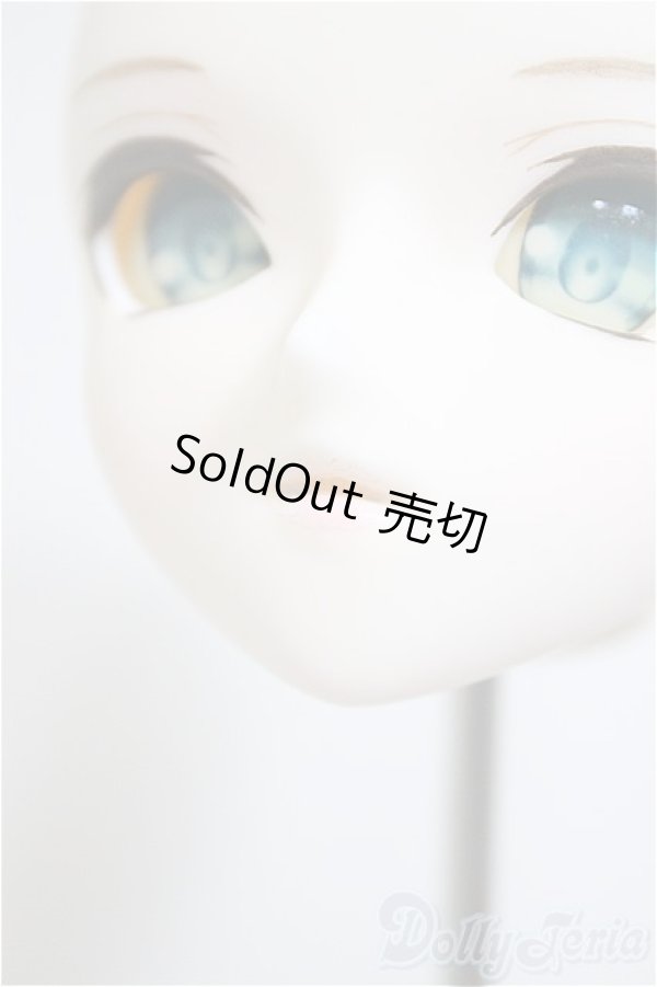 画像5: DD/DDH-05/カスタムヘッド/BJD　球体関節人形 A-25-09-24-158-NY-ZA (5)