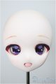 画像: DD/DDH-01 開口カスタムヘッド/0 A-25-09-24-204-NY-ZA
