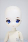 画像1: DOLLCE/ミニスウィーツドール:スノーローズマリー/ A-25-09-24-335-NY-ZA (1)