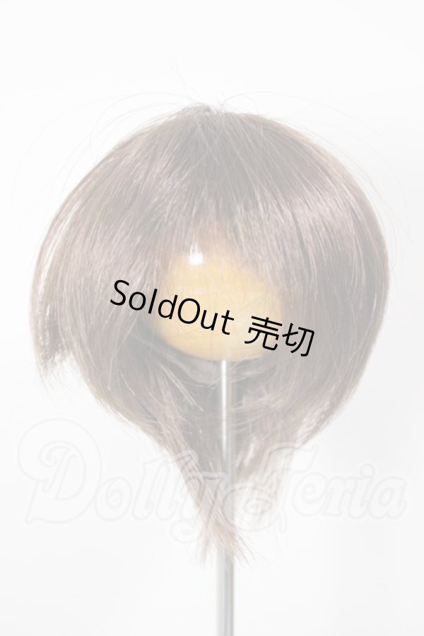 画像1: 6-7inch/ウィッグ A-26-02-18-124-NY-ZA (1)