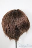 画像2: 6-7inch/ウィッグ/インチ　BJD　MJD　ドール用 A-25-09-24-380-NY-ZA (2)