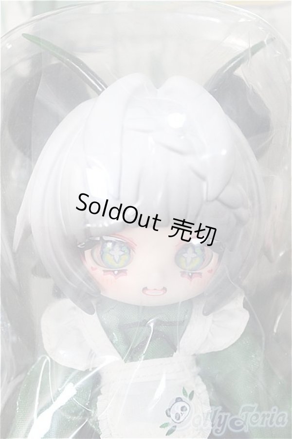 画像1: KUKAKA/虫虫カフェ:パンダカマキリ/ A-25-09-24-393-NY-ZA (1)