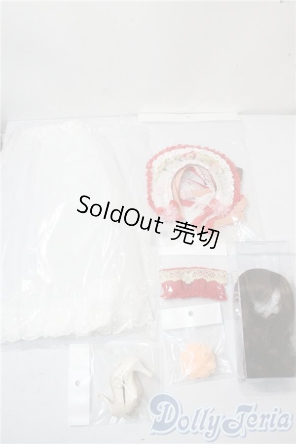 画像8: SD16女の子/樽崎　龍　ワンオフ：HARU様メイク U-25-09-30-219-NY-ZU (8)