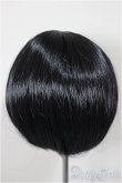 画像2: 8-9inch/ウィッグ/インチ　BJD　MJD　ドール用 A-25-10-01-222-NY-ZA (2)